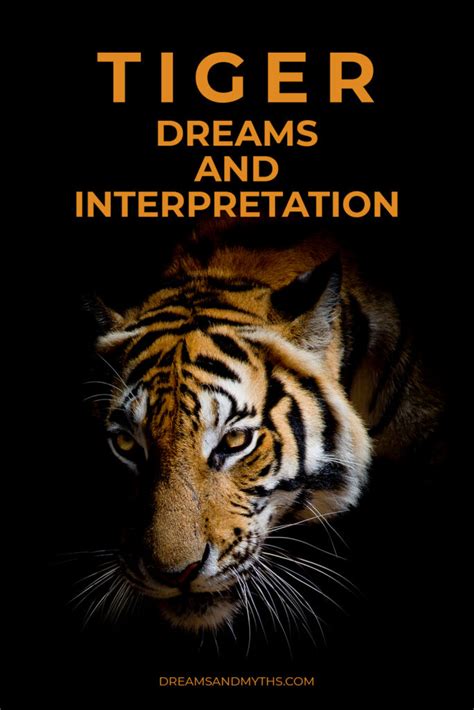 The Healing Power of Friendship: Interpreting a Dream about a Tiger